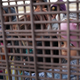 Central American immigrants stand at the U.S.-Mexico border fence while crossing the border from Mexico on February 01, 2019 in El Paso, Texas. The migrants turned themselves in to U.S. Border Patrol agents, seeking political asylum in the United States.